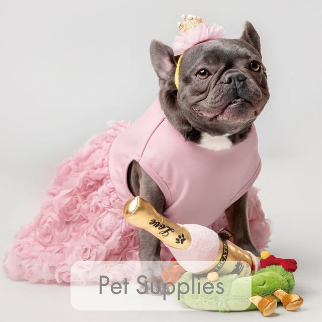 Pet Supplies